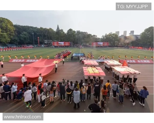 武汉网球队在洲际杯上的拼搏历程与荣耀时刻全景回顾