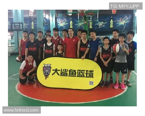 深圳篮球队的转型之路：深度解析球队战术与未来发展方向